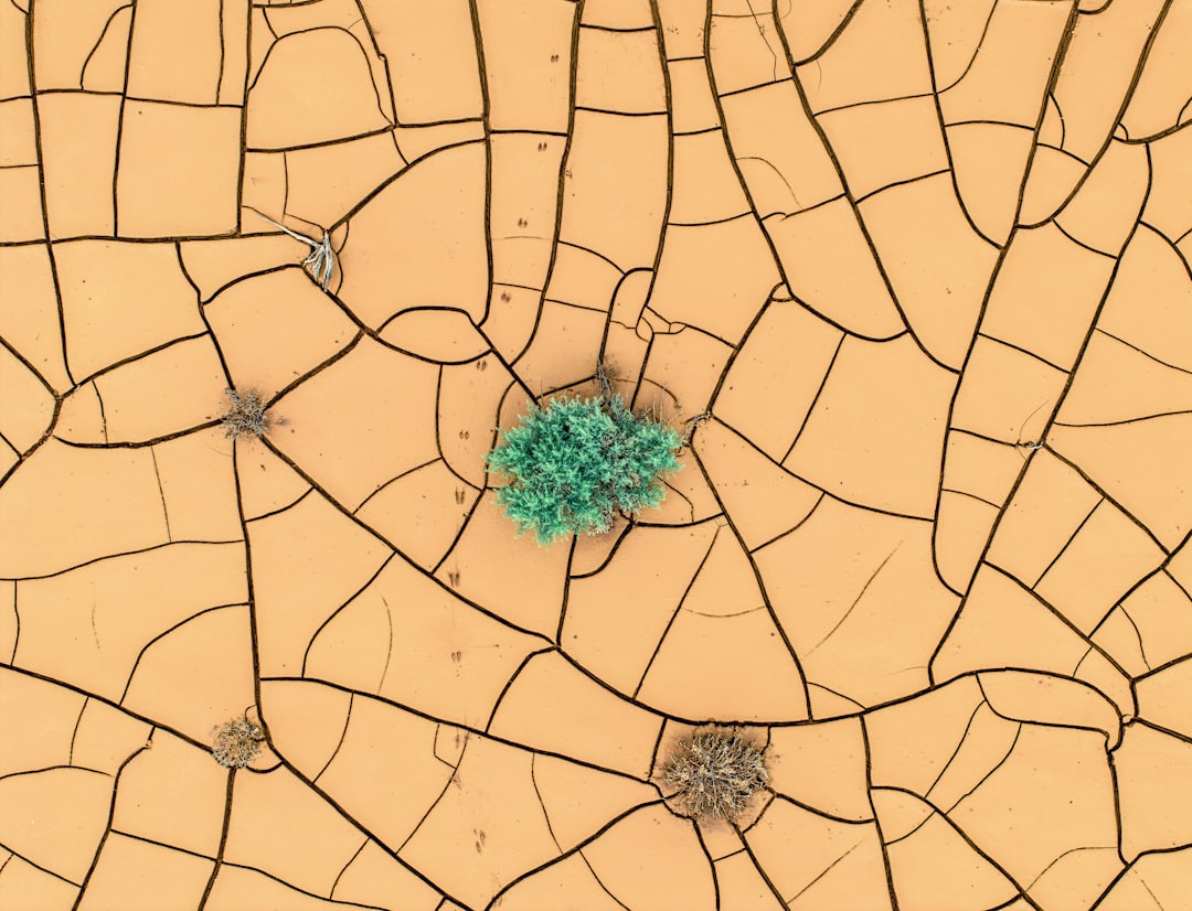 IA en cartografía española